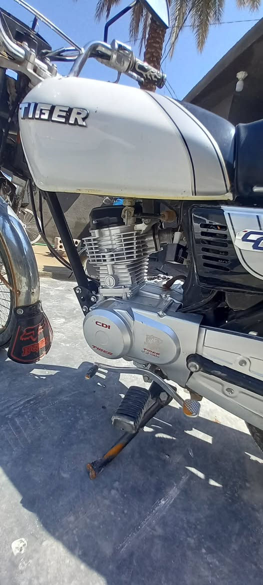 سلام عليكم حبايب تايكر موديل ٢١ للبيع دراجه نضيفه مكينته جديده كلش اني مداريه الدراجه بس كلجاته تقريبا مستحقه أوراقه ضايعه اكفله من كلشي السعر ٤٥٠(***********)
