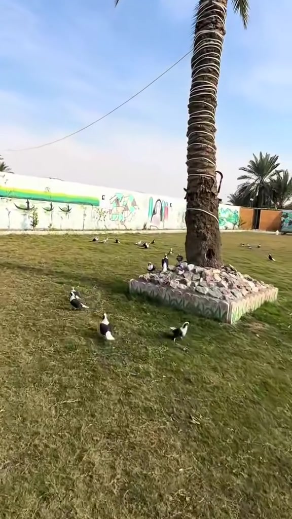 مزرعة ليان
📍بغداد، المدائن ،قرب مستشفى المدائن 

يتوفر حجز  جميع ايام الاسبوع 

للحجز والاستفسار 

***********

#مزارع #مزارع_المدائن #بغداد #مزرعة_ليان

#ايجار
