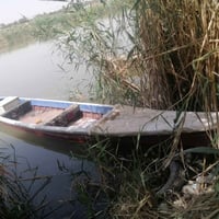 بلم • طول 14 • ما متعوب