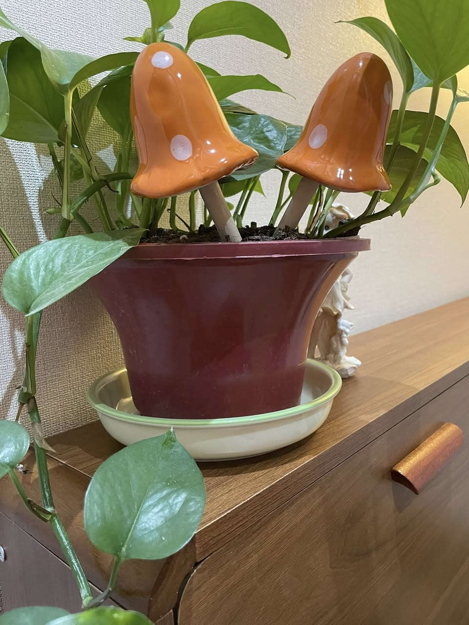 اغراض منزليه باسعار مناسبه جدا جدا


**إذا كنت صاحب هذا الإعلان وتريد حذفه لأي سبب، رجاءا أرسل رسالة إلى الدعم الفني**