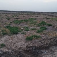 الهمسانيه • ٣دونم • قريب خدمات ١٠٠م