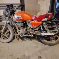 دايون • شغاله • عاوزه ترتيب