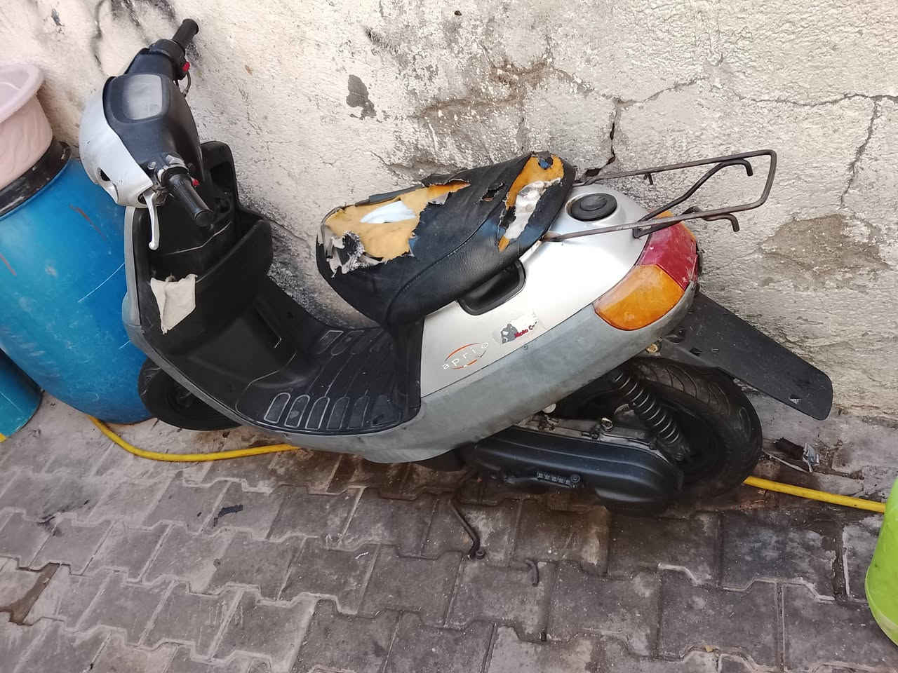 منغولي العبيع عنواني بصره سعر 250وبيه مجال رقمي ***********
