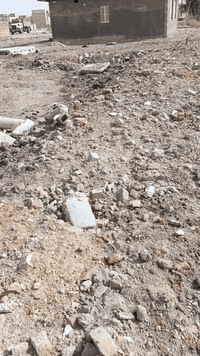 بابل المسيب • ٣٠٠م • طابو زراعي