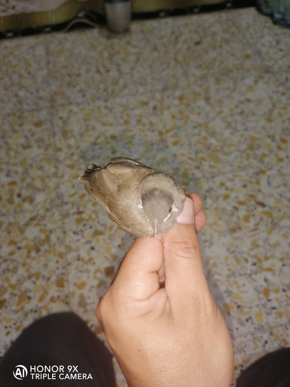 السلام عليكم  مكلف بل نشر زوج بلال شرط صاحيات ونظافه فوول الشراي يتصل مكاني كوت حي الجهاد ***********
