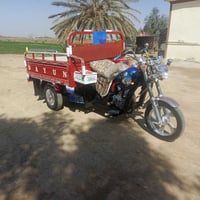 ستوت • موديل ٢١ • بابل الشوملي