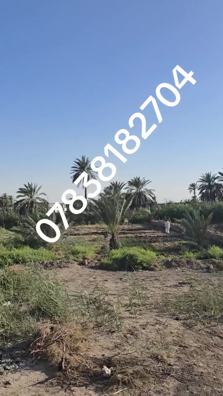 السلام عليكم 
الرميثة بستان الجديدة
قطعة ارض طابو زراعي بستان مداور بسمك 
المساحة 960 م
السعر 100 
***********
