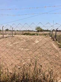 بابل المدحتية • ٢٠٠م • سند ٢٥