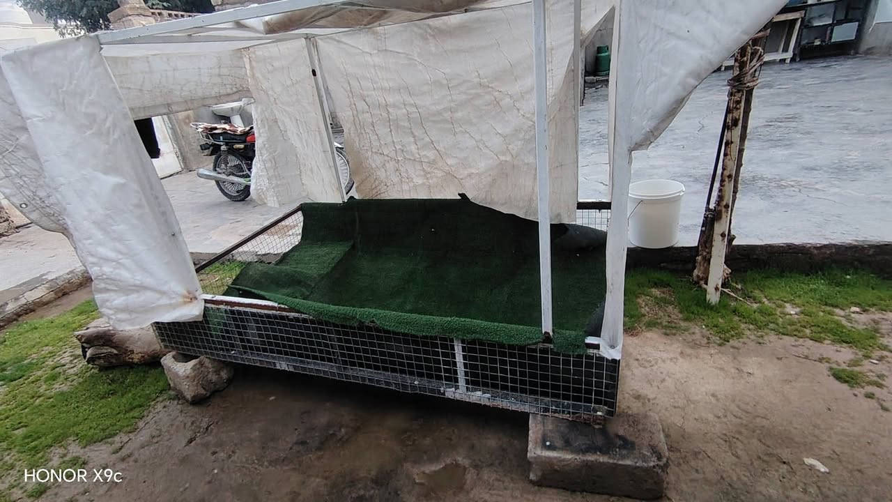 ️ السَّلَاْمُ‌ ‌عَلَیْکُم‌  ئەم کەپری کەریم کابانە بۆ فروشتن بۆ بەقالیە دوو بەشە وەک لەوینەکە دیارە ئەو بەشەی خوارەوە لەجیگای دەرگای ماتورەکە دەی بەستی  دەبیت دەرگاکان بکەینەوە هەتا بڵی کەپریکی ڕیکو پێکە هەڕ کەسیک موشتەریە نامە بنیرین سعری گونجاوە


**إذا كنت صاحب هذا الإعلان وتريد حذفه لأي سبب، رجاءا أرسل رسالة إلى الدعم الفني**