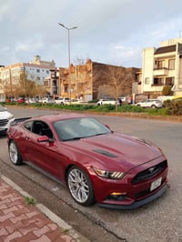 موستنك GT  برميوم للبيع موديل 2017   صبغ احزام قماره بدون صبغ   ابيع ص...