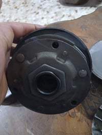 كلجات • سكنس • فحل زوج