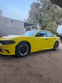 فول مواصفات • ٢٠٢٠ • رقم بصره