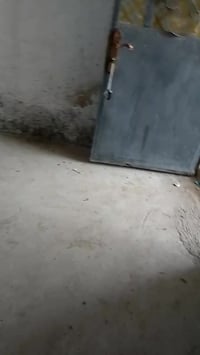 بيت للإيجار • شارع عشرين • ٤٠٠م