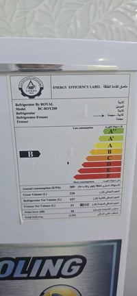 رويال فريز • حجم وسط • نظيفة ١٠٠%