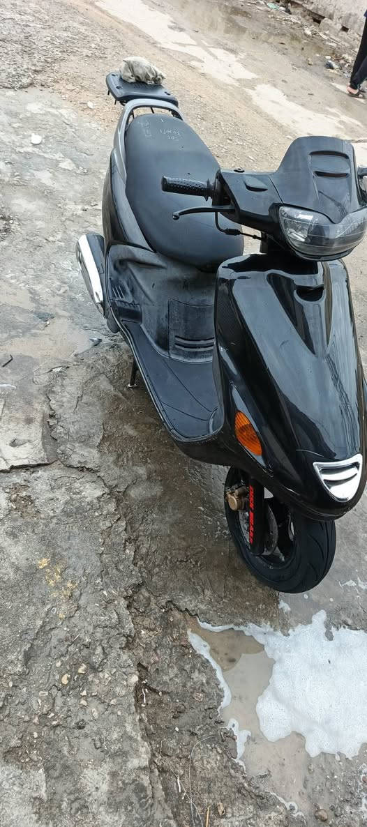 دراجه فراشه فحل ديسك دراجه حاويه وجديده شرط ما مفتوحه عالفحص دراجه بلاديه نظافه كهربائيات كلها شغاله نهضه فول عالفحص السعر ٥٨٠ بيه مجال للشراي ***********
