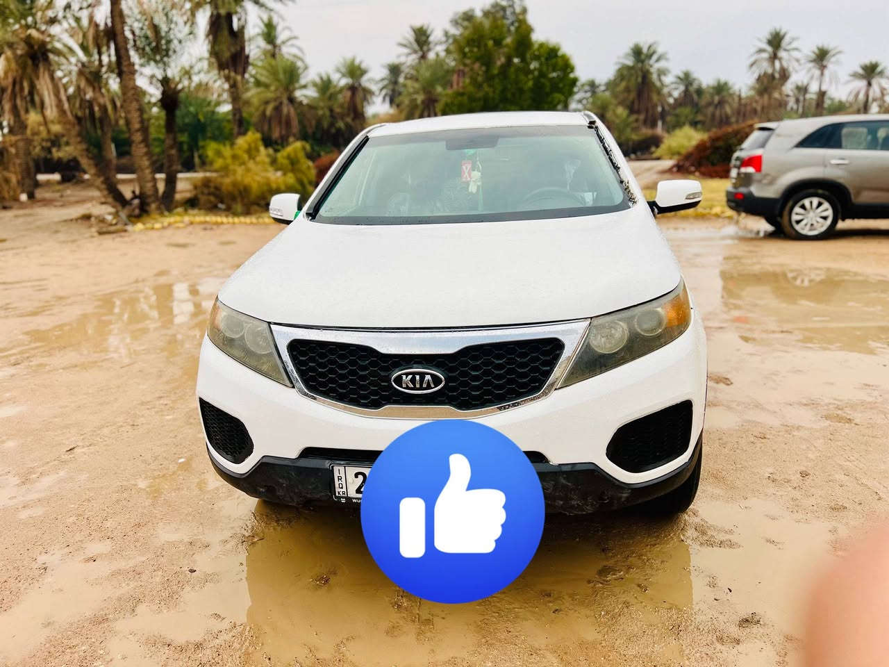 السلام عليكم
سورنتو ١٣ ادوات ادوات كصه جنطه 
بانزين ٦ سلندر  أرقام إنكليزي شمالي 
طخم تاير توني شاده 
كير مكينه حداديه باكيت 
تبريد تدفئه شغال 
السعر ٥٣وبيها مجال 
مكانها ناصريه ‏‪***********‬‏
