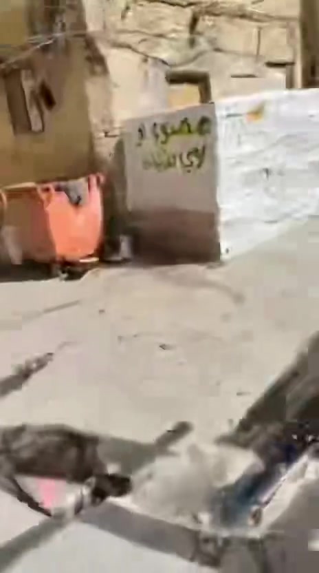 بسم الله الرحمن الرحيم
                          بيت للبيع
 بالغربي مساحته ١٤٦م مسلح دحو  خلف محلات البوحميد  قرب مجمع معصومه طابقين ترميم ٢٠١٥
# سعر المتر  ٣ مليون دينار مع المجال


**إذا كنت صاحب هذا الإعلان وتريد حذفه لأي سبب، رجاءا أرسل رسالة إلى الدعم الفني**