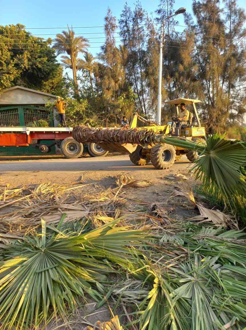 مشتل الاصدقاء جميع انواع النباتات الزينه والنخيل اسعار ممتازه جدا


**إذا كنت صاحب هذا الإعلان وتريد حذفه لأي سبب، رجاءا أرسل رسالة إلى الدعم الفني**