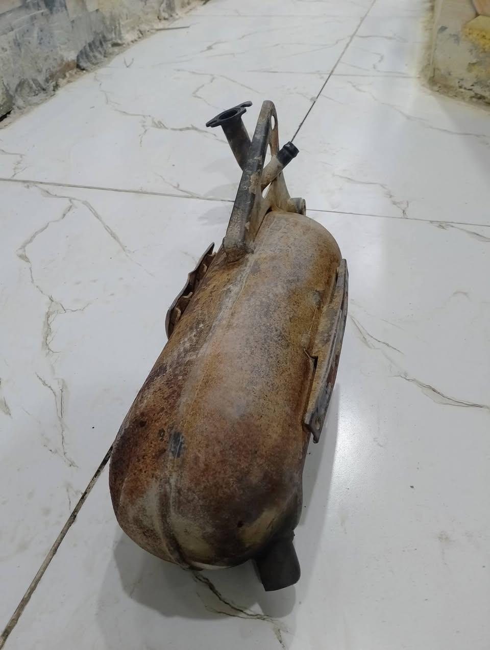 صالنصه بيجي فحل اصليه شرط صفر جاج شرط نضيفه السعر ٢٠بيها مجال مكان سماوه


**إذا كنت صاحب هذا الإعلان وتريد حذفه لأي سبب، رجاءا أرسل رسالة إلى الدعم الفني**