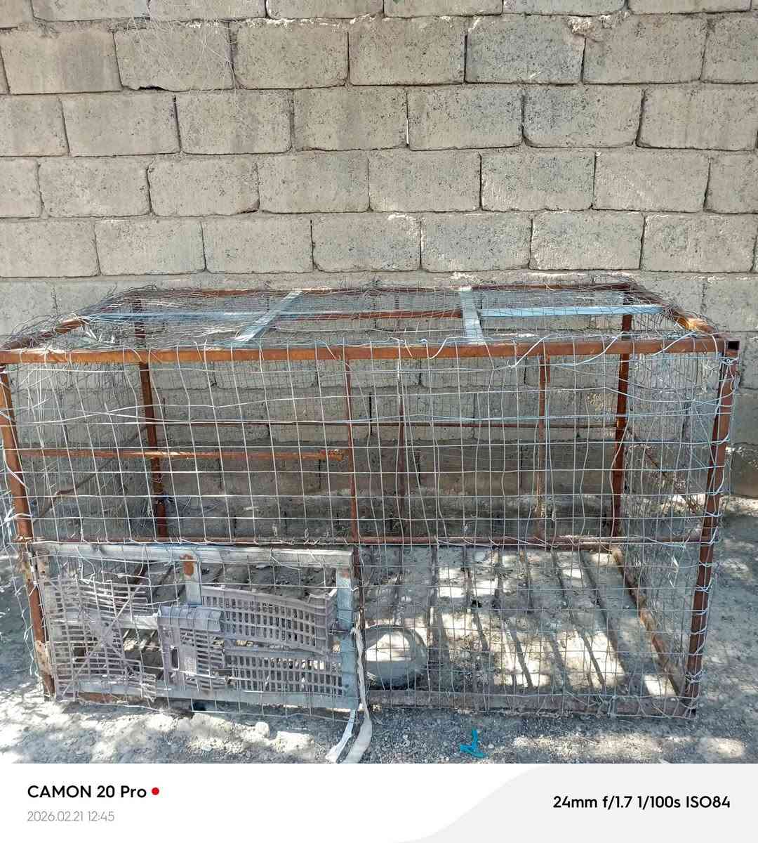 السلام عليكم
موجود قفص للببع
الطول مترين
العرض متر
الارتفاع متر
قفص جديد يرهم لكل شي
الرقم***********
