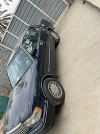 أرنب جنازي • ١٩٩٣ • بني منصور