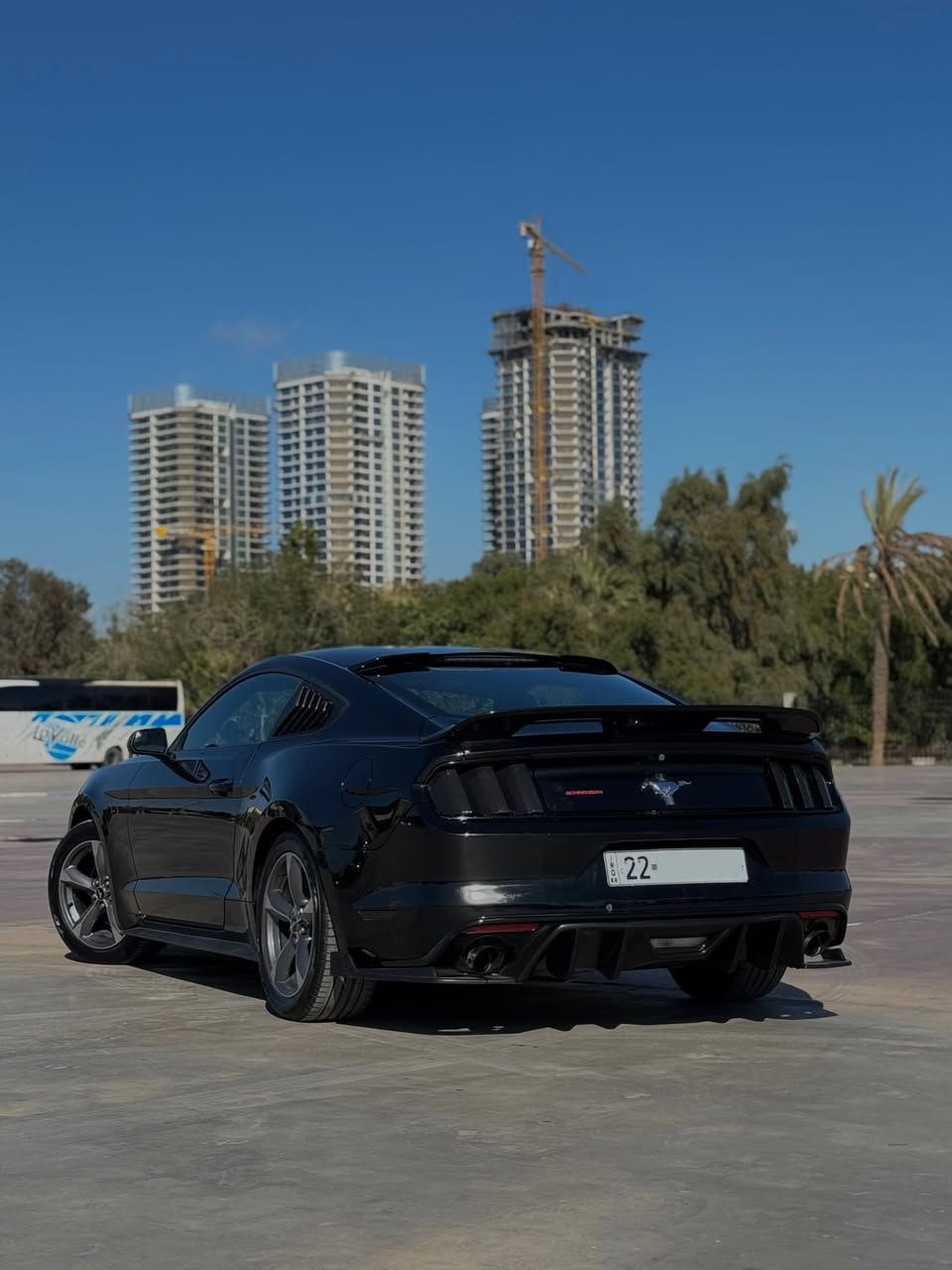 السلام عليكم
موستنك 2015 V6 كلين تايتل رقم اربيل دولي بأسمي لون اسود 
السياره بعدهه على وضع الشركه حته سبيرهه ماماشي بشارع بدون برمجه و لا تعديل حته العقل مامفتوح حجر البيئة بلادي موجود مو تركيب و بصمات اثنين و كتلوكات و ارضيات الشركه بيهه حتى براغي الرقم مال الدعامية الامامية والخلفية البلاديات موجودات وما مشدودات

مكينة 6 سلندر وكير ما ملعوب بيهن و ما مفتوحات على وضع الشركة حتى المكينة خرسة اي صوت ما بيها
كشن السايق كهرباء
تبريد ثلج ومنضومة كاملة جديدة والفريز مال موديل 21
ويل كب بلادي مالتهه لا عواج ولا تعديل 
كامره خلفيه
لحيه سيرفيني
جناح خلفي GT
شفقة جامة خلفية
اوراكل احمر
دفيوزر خلفي
شفتات ستيرن
ماشيه 79 ميل حقيقي
باتري جديد

السياره برغي واحد ماناقصهه صدر امامي خلفي جديد 

بيهه فقط الجاملغ الامامي الايسر مبدل اثر طخه خفيفه و البلادي موجود و مبين الطخه بيه وبيه بارد بالباب الامامي والجاملغ الخلفي

وياها الجناح واللحية الامامية البلاديات موجودات اضافة الى سكوب جامة خلفية و جناح عدد 2 اضافيات 
 
السعر 160 ورقة
***********

المكان بغداد السيدية
