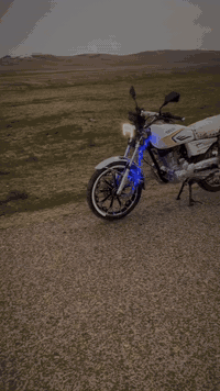 موتور • أوراق كاملة • دهلكيه