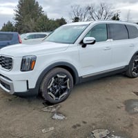 كيا تيلورايد • ٢٠٢٤ • مزاد أمريكي