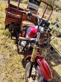 ستوته • توني شاده • خضر