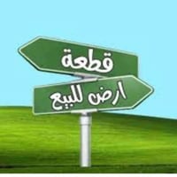 بغداد الجديدة نعيرية • أراضي كاع • ٢٥٠م واجهة ٧٫٥م