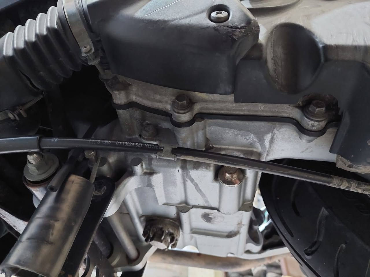 السلام عليكم
للبيع ياماها ثعلب 140 كابريتر بختصار ماتعبكم الدراجه بلكارتون جديده مال جناي الشراي يتصل *********** عنوان الحريه
