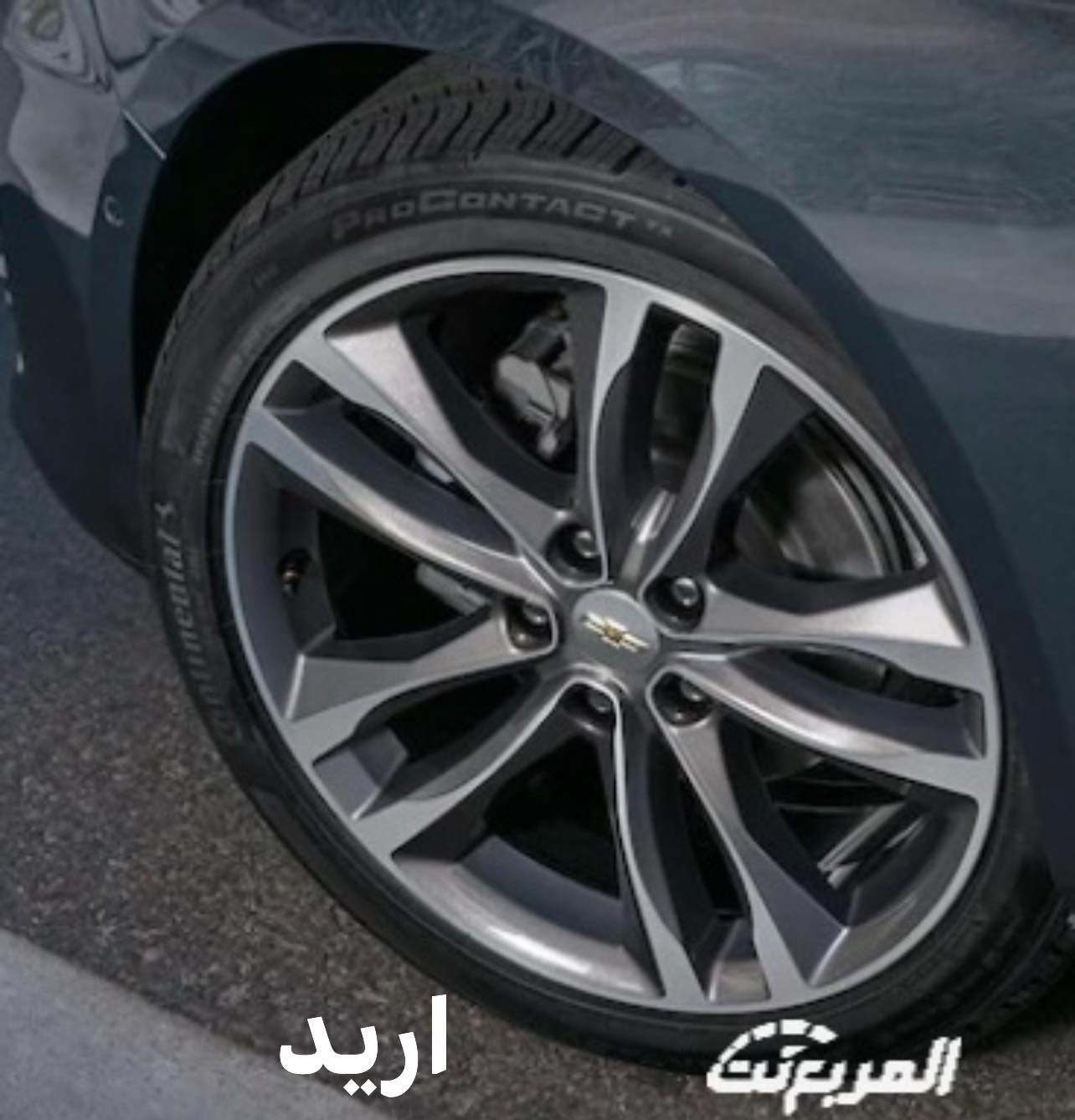 السلام عليكم عندي ويل نجمة رايد مراوس وية ويل 19بريمير


**إذا كنت صاحب هذا الإعلان وتريد حذفه لأي سبب، رجاءا أرسل رسالة إلى الدعم الفني**