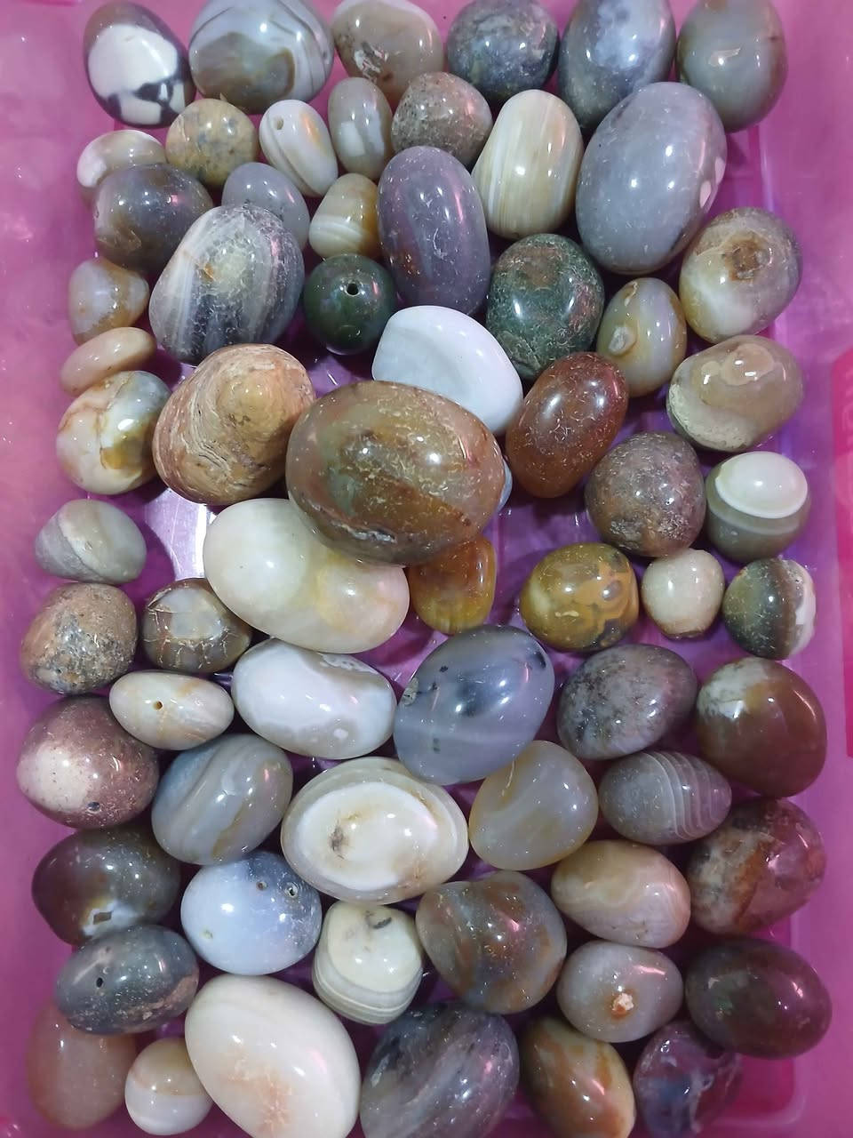 احجا كريمه منوعه ابيعهم جمله سعر 3  مليون سعر ثابت بدون عمله ولا اسئله عن النوع والشكل


**إذا كنت صاحب هذا الإعلان وتريد حذفه لأي سبب، رجاءا أرسل رسالة إلى الدعم الفني**