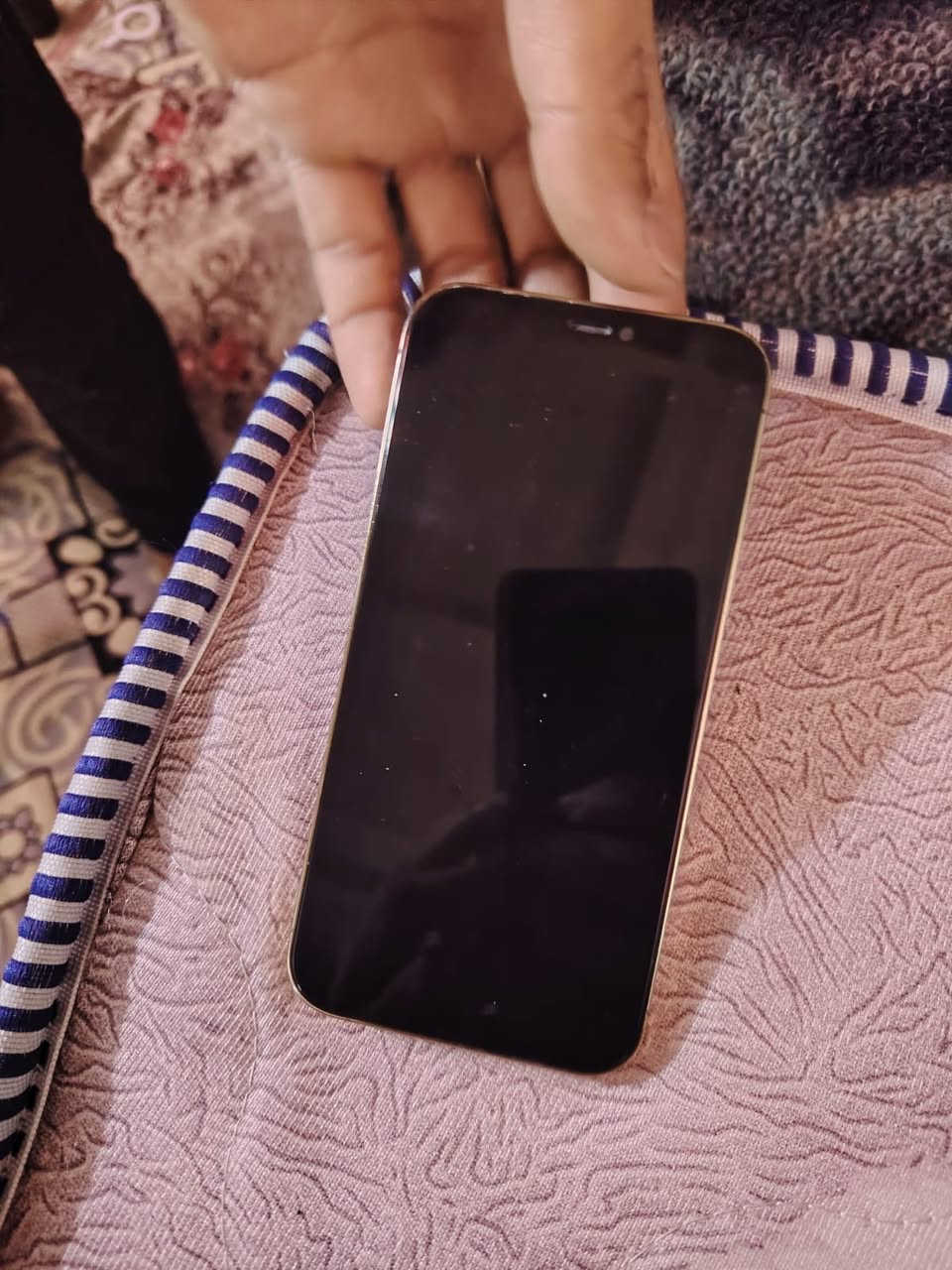 سلام عليكم أيفون 12 بروفقط جديد شخط مابي ذاكره 256 دبل خط شرق اوسط فول نضافه لون ذهبي


**إذا كنت صاحب هذا الإعلان وتريد حذفه لأي سبب، رجاءا أرسل رسالة إلى الدعم الفني**