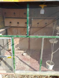 قفص حديد • سقف وارضية حديد • هيت ناحية الفرات