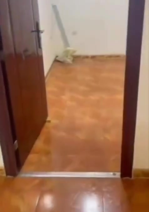 شقة طابق اول زيونة 712 للايجار
من رخصة الادمن السلام عليكم
عندي شقة طابق اول ( غرفتين نوم وهول ومطبخ مع مساحة جلوس واسعة) مُطل على الشارع
متوفر كراج للسيارة وعداد كهرباء (خصخصة) والماء منفصلات
للاستفسار ***********
