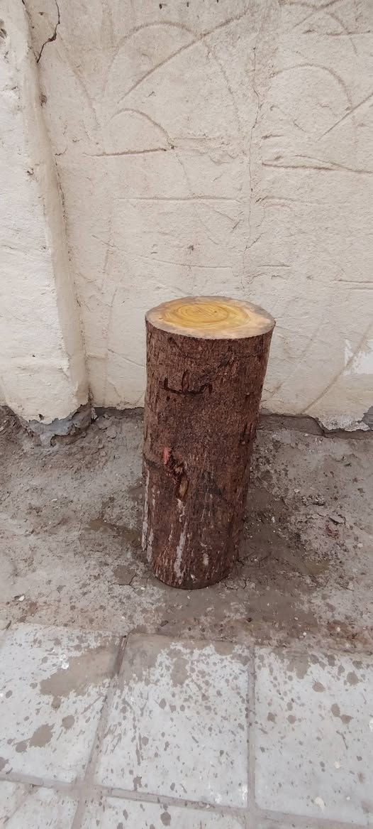 السلام خشبه كصابه للبيع مرتبه قيم بليرضي بي لله واخذ المكان ناحيه القادسيه ***********
