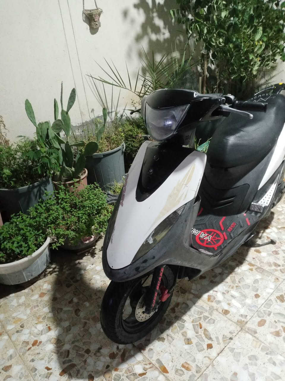 السلام عليكم دراجة ماكس عدلة للبيع مكفوله برغي مامفتوح نكرة سلف السعر خاص


**إذا كنت صاحب هذا الإعلان وتريد حذفه لأي سبب، رجاءا أرسل رسالة إلى الدعم الفني**