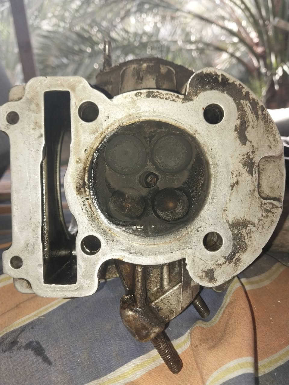 السلام عليكم كور بصمه تي تي مارك للبيع
الكور شغال جيب و شد بس بي ضعف بالولفات و الباقي شوفت عينك قيم وخذ للتواصل خاص مكاني بغداد ملاحظه جان مشدود بسكنس شغاال


**إذا كنت صاحب هذا الإعلان وتريد حذفه لأي سبب، رجاءا أرسل رسالة إلى الدعم الفني**