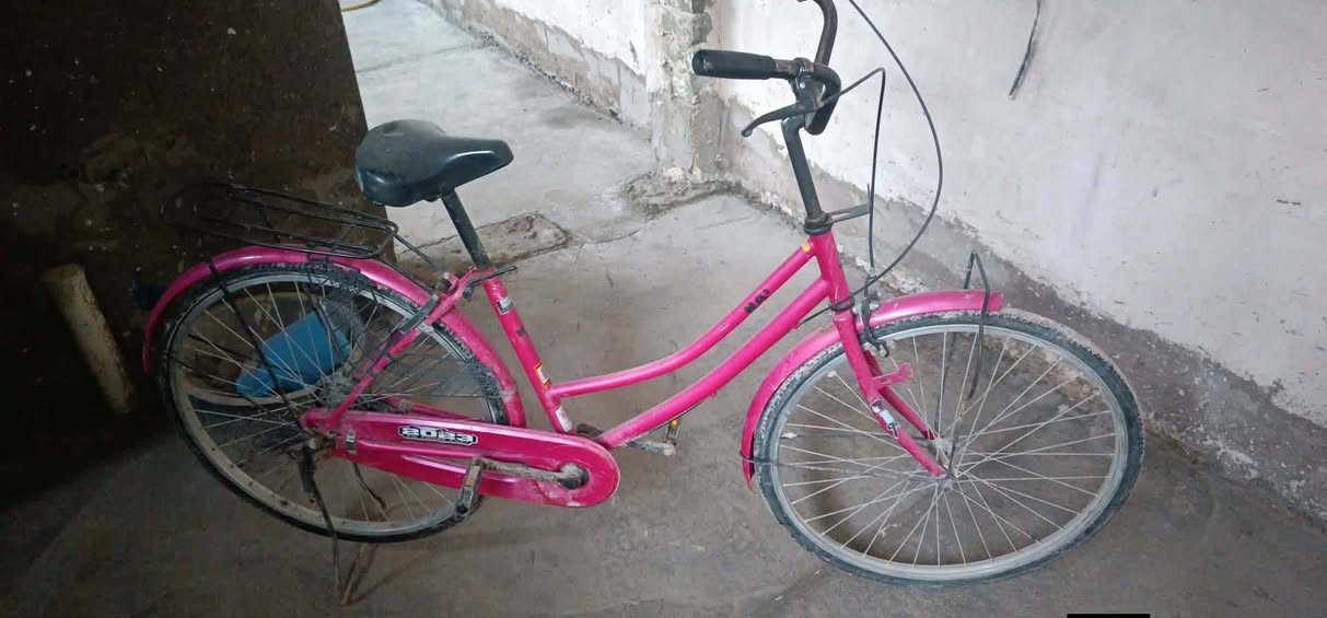 65


**إذا كنت صاحب هذا الإعلان وتريد حذفه لأي سبب، رجاءا أرسل رسالة إلى الدعم الفني**