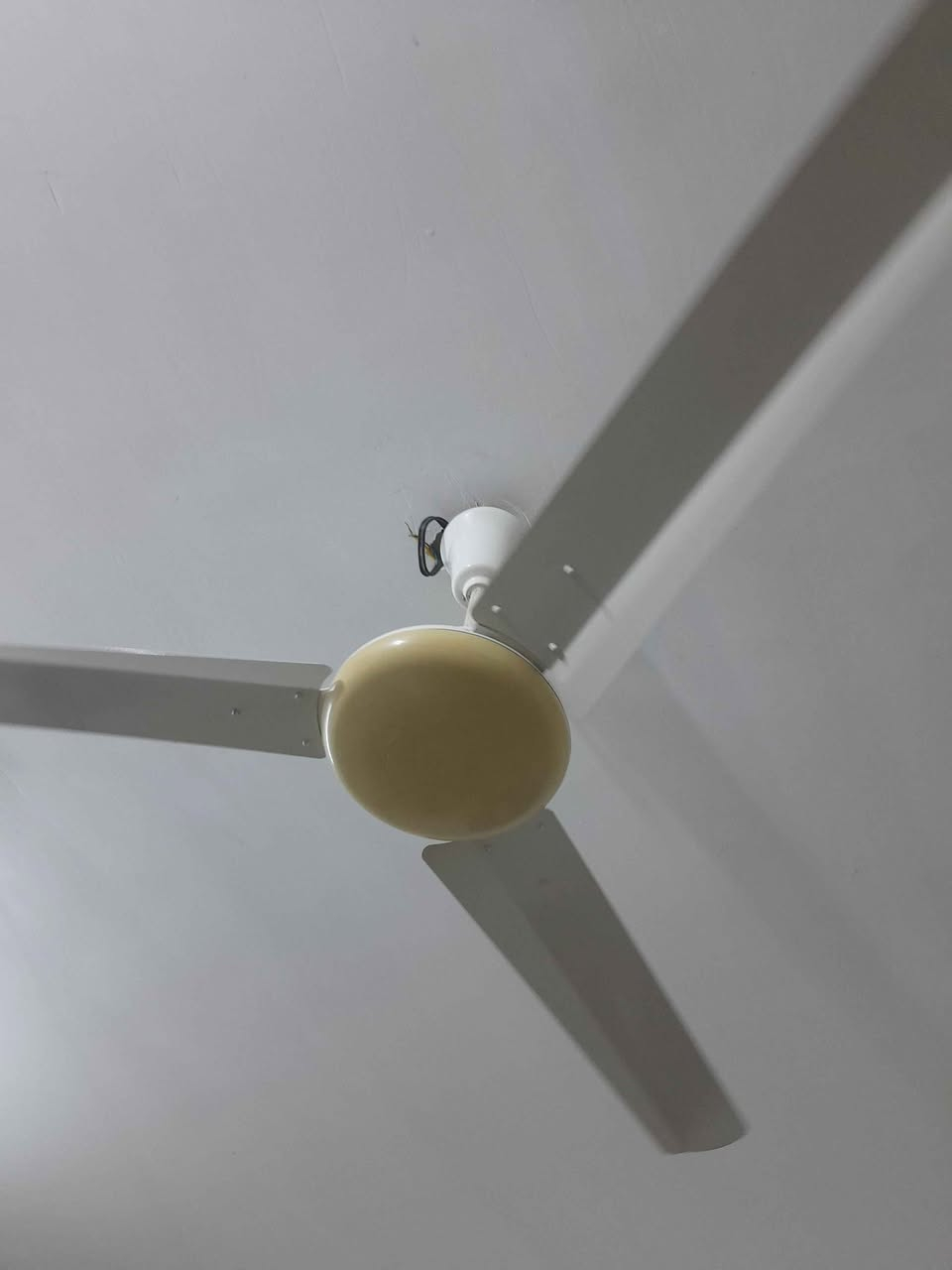 مراوح سقفيه سانيو ياباني العدد ٣ المكان بغداد بغداد, العراق


**إذا كنت صاحب هذا الإعلان وتريد حذفه لأي سبب، رجاءا أرسل رسالة إلى الدعم الفني**