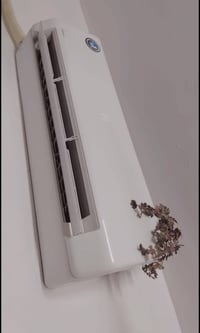 سبلت ٢ طن • طباخ إيطالي ٥ عيون • كاونتر ٣ قطع