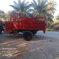 ستوته صلطان • نضيفه حيل • شاصي مكفول