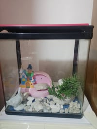 حوض أسماك • ديكور منزلي