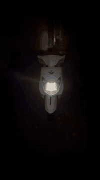 سلام عليكم سكنس للبيع  فحل كابريتر  مجفته مره وحده سعره 475 وبيها مجال واتس .***********
