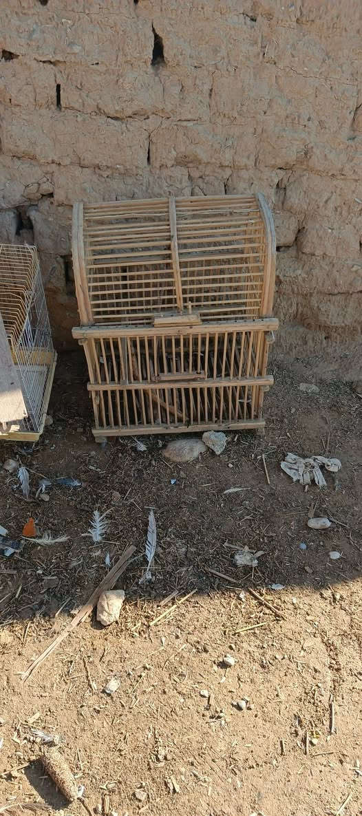 قفاص لبيع ياهو تريده كلشي ب سعره


**إذا كنت صاحب هذا الإعلان وتريد حذفه لأي سبب، رجاءا أرسل رسالة إلى الدعم الفني**