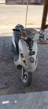جي فور • شغالة • سلف وهندر
