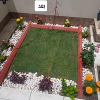 م مستـعدون🍂 ، لـترتيب🐦 الحدائق المنزلية 🏝️🏘️ وزراعة النباتات، 🌾🌴🌱والاز...