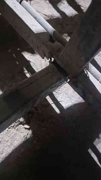 شاصي البيع  شوفت عينك قيم وخذ
