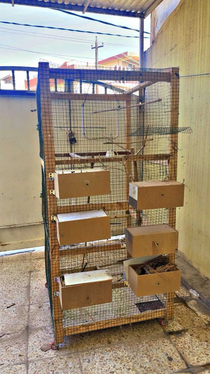 اخوان موجود قفص للبيع
يرهم للجميع انواع الطيور نظيف ومرتب 
بدون خانات سعره وحد 
وية الخانات سعرة وحد 
مكاني كركوك 
ادمين ♥️


**إذا كنت صاحب هذا الإعلان وتريد حذفه لأي سبب، رجاءا أرسل رسالة إلى الدعم الفني**
